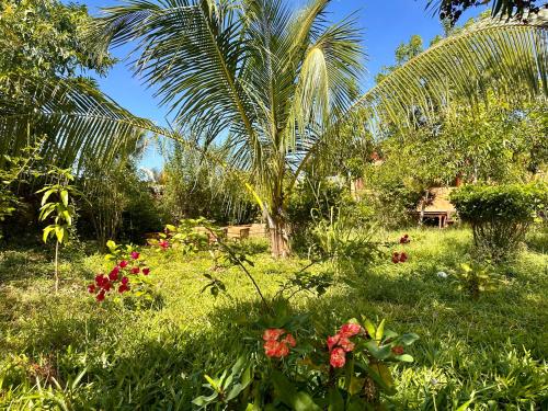 a garden with a palm tree and some flowers at Kameleon Blue in Kizimkazi