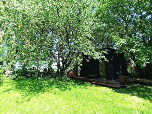 a tree in the middle of a grass field at La Ferme 1851 - Cabane Spa Nordique privé vue sur champ in Willems