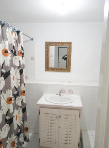 a bathroom with a sink and a mirror and a shower curtain at Cozy Family Inn in Port Antonio