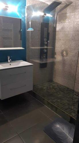 a bathroom with a shower with a sink and a shower at Villa L'attrape rêves 1 in Cilaos