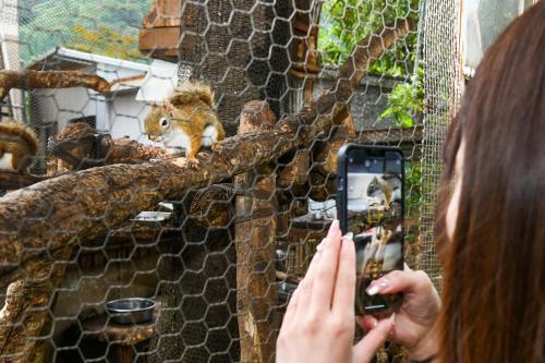 a woman taking a picture of a giraffe at ＹＵＦＵＩＮ　ＦＬＯＲＡＬ　ＶＩＬＬＡＧＥ　ＨＯＴＥＬ in Yufu