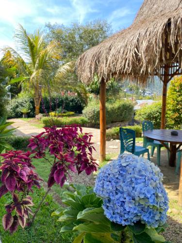 a garden with blue and purple flowers and a table at Mahoni Guest House in Kelimutu