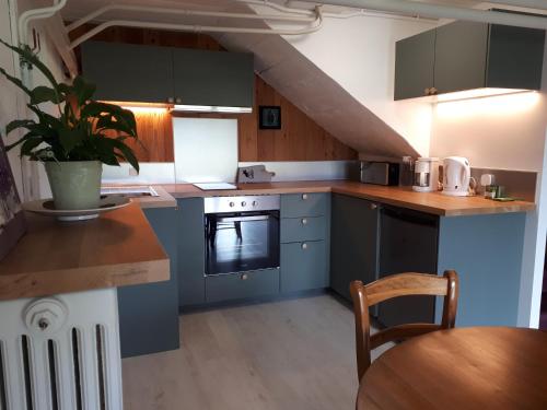 una cocina con armarios azules y una mesa con una planta en Bel appartement rez-de-jardin, en Saint-Genest-Malifaux
