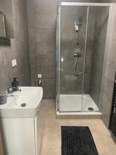 a bathroom with a shower and a sink at Černá růže - Apartmán 6 in Pilsen