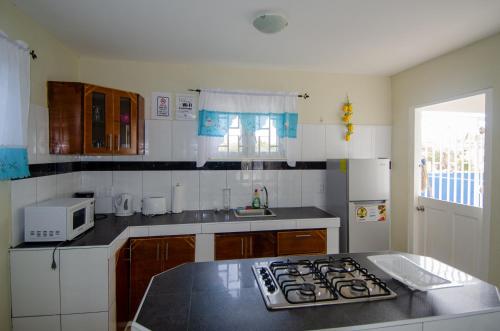 a kitchen with a stove and a counter top at Blue Apartments in Willemstad
