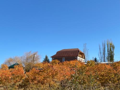 a house on top of a hill with trees at Гостевой дом “Kyzyl Alma” (Red Apple) in Chon-Dzhargylchak