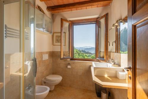ein Bad mit einem WC, einem Waschbecken und einem Fenster in der Unterkunft La Piella in Coreglia Antelminelli
