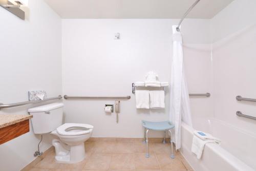 a white bathroom with a toilet and a shower at Holiday Inn Express Hotel & Suites Omaha West, an IHG Hotel in Omaha