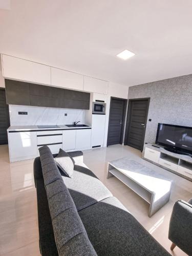 a living room with a couch and a tv at Ubytování u Parku in Lednice