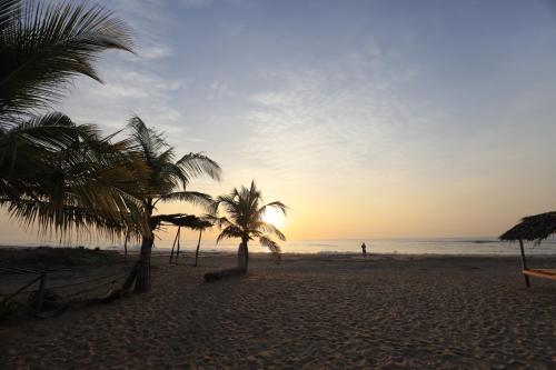 a person walking on a beach with palm trees at The Tasty Tuna Cabana in Arugam Bay