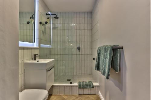 a bathroom with a shower and a toilet and a sink at 437 St Martini Gardens Apartments in Cape Town