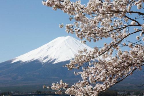 御師の家　梅谷（UMEYA）