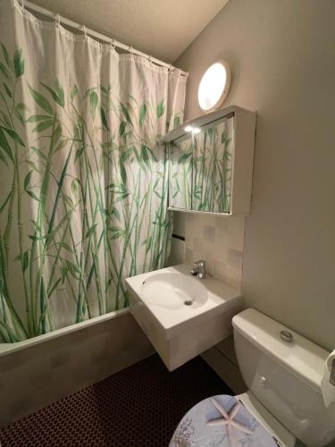 a bathroom with a sink and a shower curtain at Réf 413 Seignosse océan, studio alcôve à proximité immédiate de la plage et des commerces, 4 personnes in Seignosse