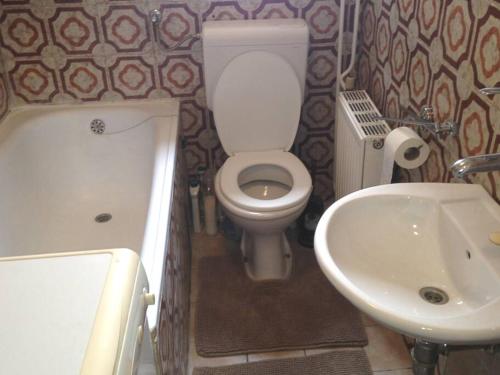 uma casa de banho com um WC e um lavatório em Cosy 2 room apartment with nice vibe, for up to 4 em Ljubljana