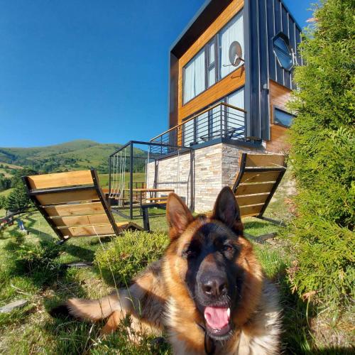 a dog laying in the grass in front of a house at Wild nest Deer Lux in Zlatibor