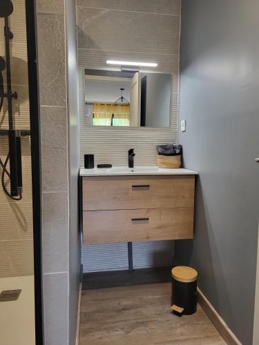 a bathroom with a sink and a mirror at Domaine d'Ella Jourre in Canet d'Aude