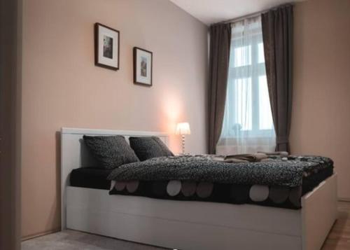 een slaapkamer met een groot bed en een raam bij Apartment Vltavska A in Praag