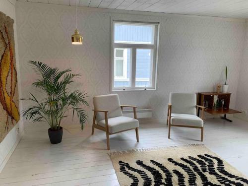 a living room with two chairs and a plant at In the heart of Old Rauma in Rauma