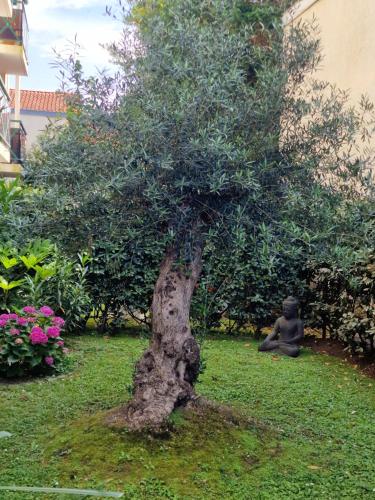 un petit arbre au milieu d'une cour dans l'établissement Superbe appartement avec jardin Saint Charles, à Biarritz