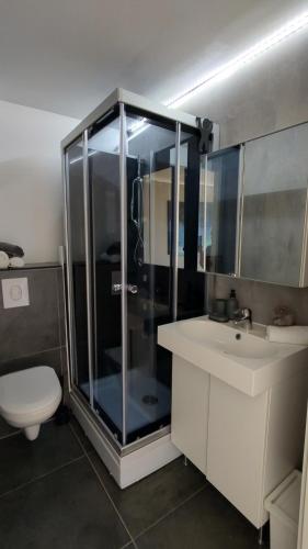 La salle de bains est pourvue d'une douche, d'un lavabo et de toilettes. dans l'établissement Kaldvell Apartman, à Lillesand