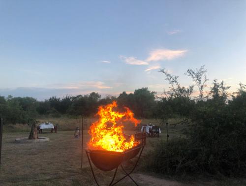 a fire in a pot in a field at Big Game - Wilpattu by Eco Team in Wilpattu