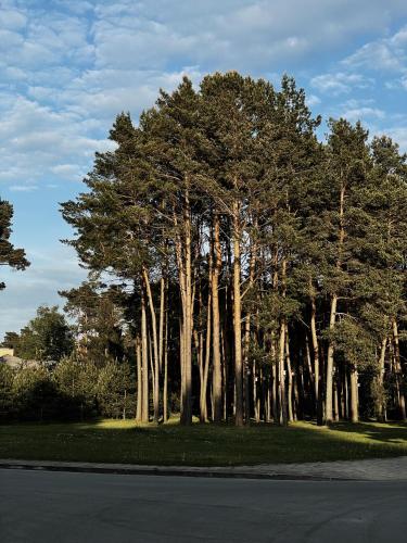 Paisaje cerca de este hotel
