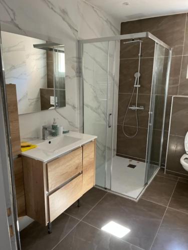 une salle de bain avec un lavabo et une douche dans l'établissement Gîte - Les Salons du Bastier, à Ginasservis