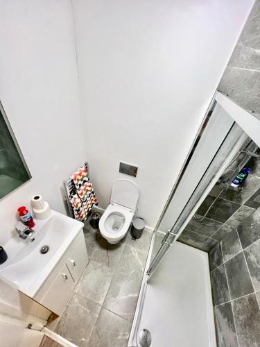 a bathroom with a toilet and a sink and a shower at Dunamis Staycation 5 in Croydon