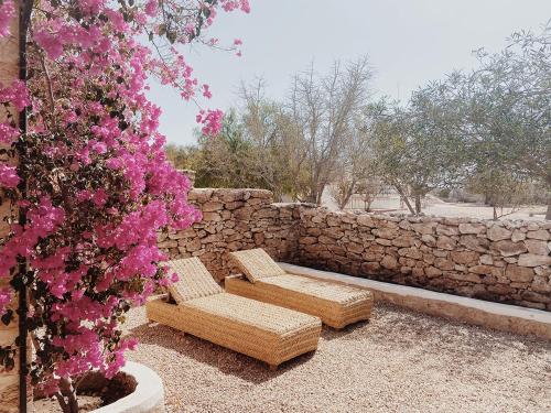 a stone wall with two chairs and a bush with pink flowers at Maison Belhazar in Essaouira