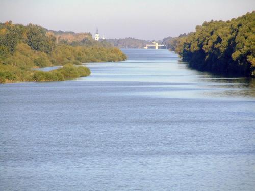 a large body of water with trees in the background at Mókus Vendégház in Doboz