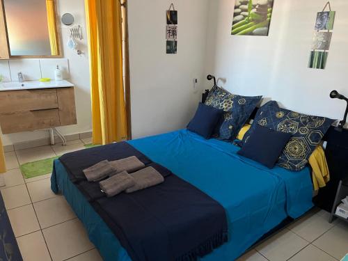 聖彼得的住宿－Le Cannelle，一张大蓝色的床,位于带水槽的房间里
