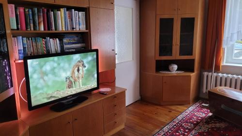 a living room with a television with a horse on the screen at Haus Undine Strand in Boltenhagen