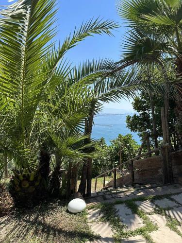 a garden with palm trees and the ocean in the background at Il Melograno in Costa d'Amalfi - romantic experience in Vietri sul Mare