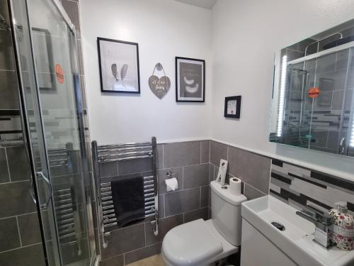 a bathroom with a toilet and a shower and a sink at Tiffy's Place in Blackpool