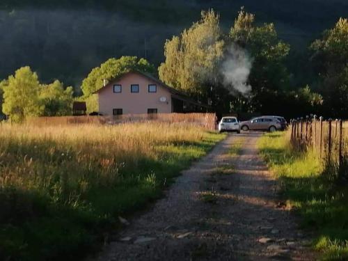 a house with two cars parked on a dirt road at Casa PICY Vendégház in Sovata