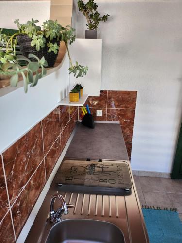 a kitchen with a sink and some potted plants at Apartmani Dijana in Podgora