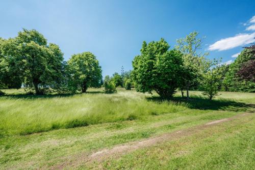 a field with trees and a dirt road at Ferienhaus Peggy mit Klimaanlage in den Bergen in Walkenried