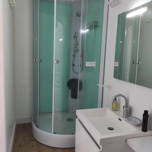 une salle de bain avec une douche en verre et un lavabo dans l'établissement BELLA - chez Florence , chambres d'hôtes, Montrol Sénard, à Montrol-Sénard