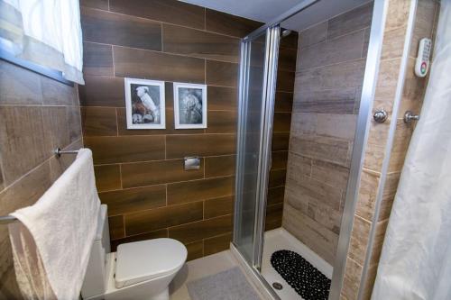 a bathroom with a toilet and a glass shower at Chaparal Design Apartment in Costa Del Silencio