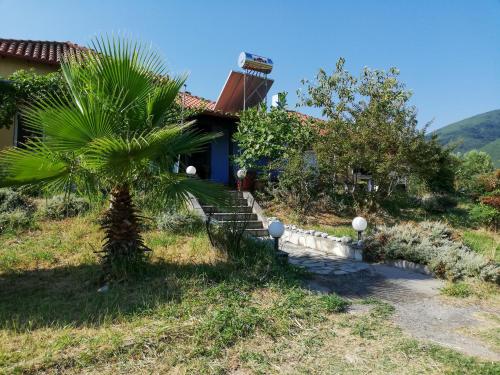 a house with a palm tree in front of it at Villa Zerva in Leptokaria