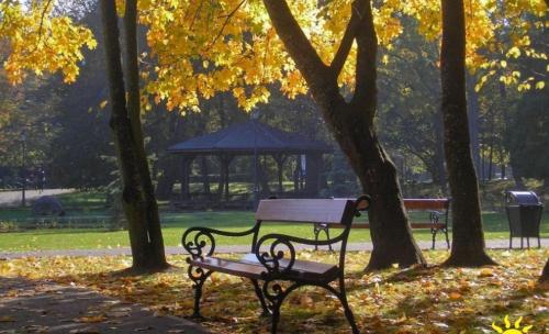 a park bench in a park with a gazebo at Apartament Słowińców 61 in Wejherowo