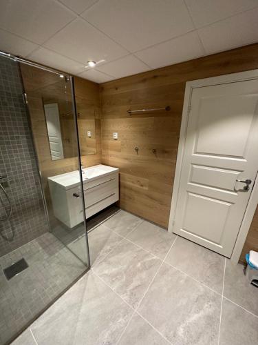 W łazience znajduje się prysznic, umywalka i szklane drzwi. w obiekcie Lom Apartment w mieście Lom