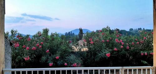 Gallery image of Kidonakia Apartments in Agios Ioannis