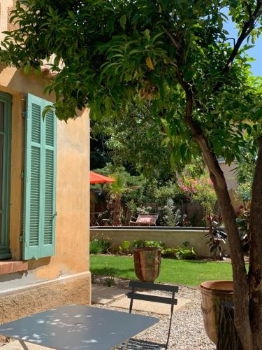 a tree in front of a building with a window at La villa des Amandiers in Hyères