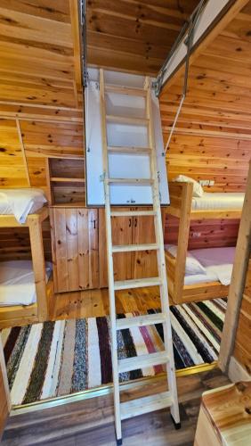 a room with two bunk beds and a ladder at Peaks of Prokletije - Outdoor pool in Gusinje