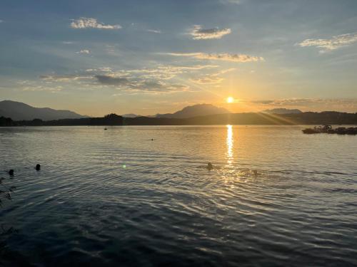 a group of ducks swimming in a lake at sunset at Home Sweet Vacation Home in Ledenitzen