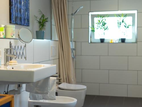 La salle de bains est pourvue d'un lavabo, de toilettes et d'un miroir. dans l'établissement Parterre Lounge mit Terrasse -Nähe Karlsruhe & KIT - ohne Treppen -barrierefreie Dusche, à Linkenheim-Hochstetten