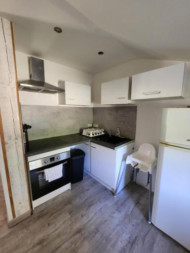 Il comprend une petite cuisine équipée d'une cuisinière et d'un réfrigérateur. dans l'établissement Chalet au cœur des Landes, à Ychoux