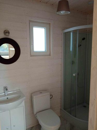 a bathroom with a toilet and a shower and a sink at Domki na górce in Kołczewo