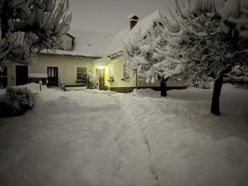 a snow covered yard with trees and a house at Haus Gruber - Valentina & Gabriel in der Waldheimat in Krieglach